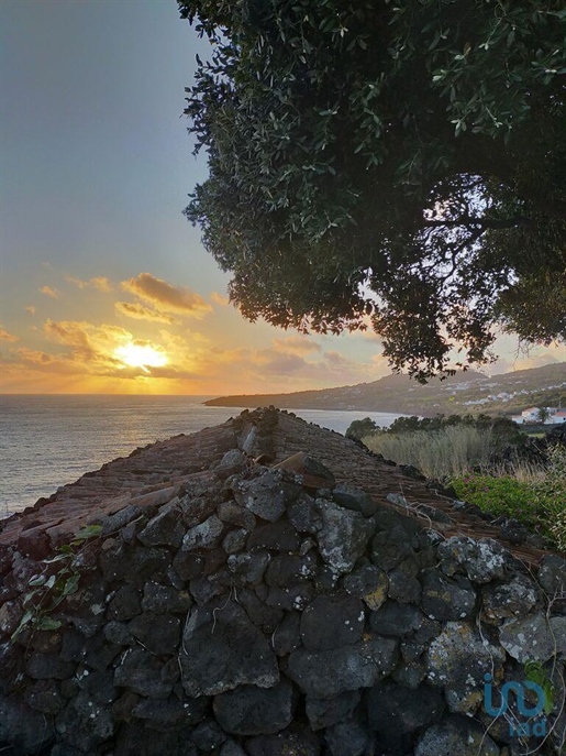 Startseite / Villa in Madalena, Açores
