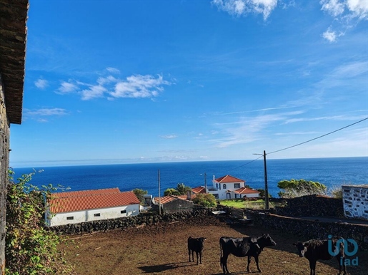 Landhaus in Lajes do Pico, Açores