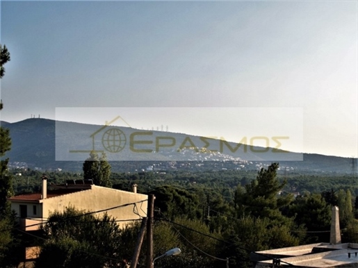(À vendre) Maison individuelle résidentielle || Attique orientale/Agios Stefanos - 400 m², 4 chambr