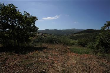 Baugrundstück mit Blick auf die Serra do Montejunto