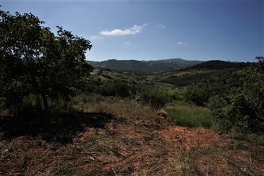 Bouwgrond met uitzicht op de Serra do Montejunto