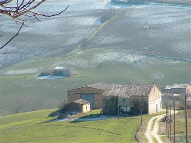 Masseria to be restored in the Marche countryside