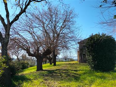 Typical Marche farmhouse to be restored in the hills of Osimo