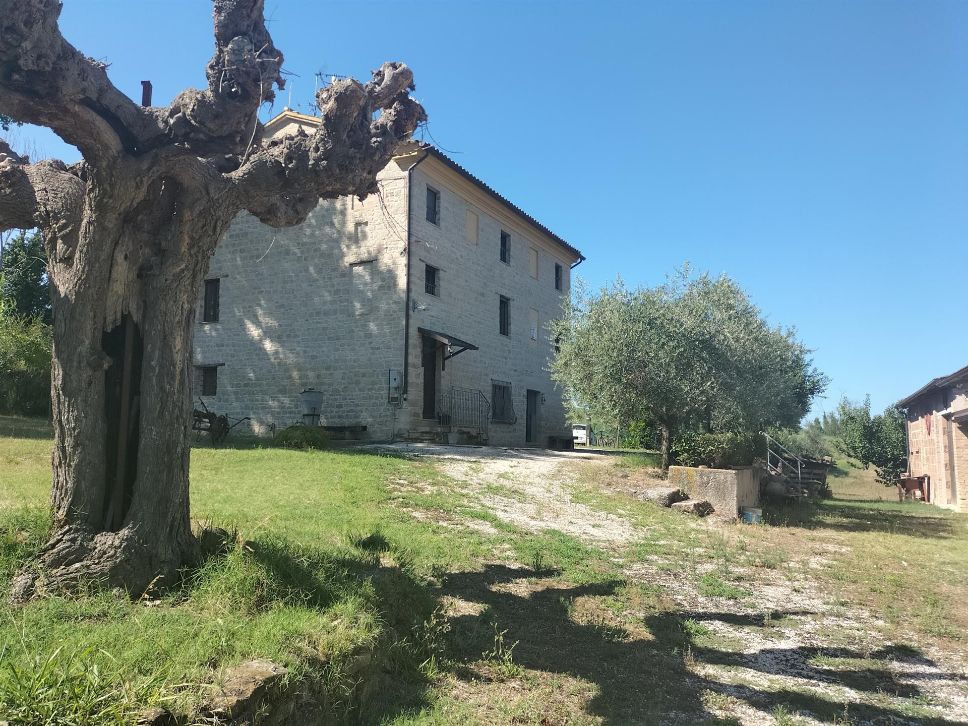 Renovated Farmhouse 5.7ha Organic Land Cupramontana