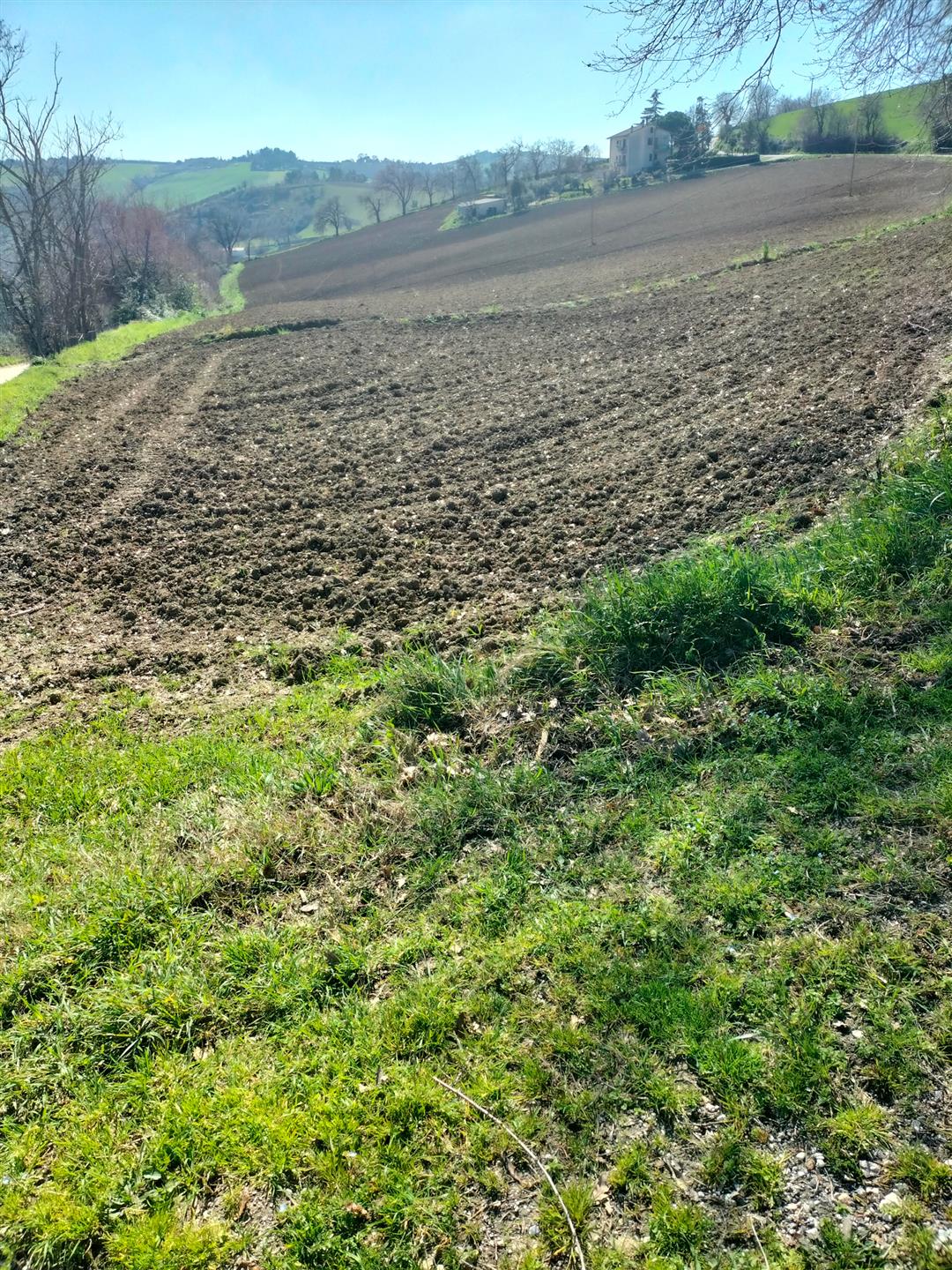 Compra: Terreno (60035)