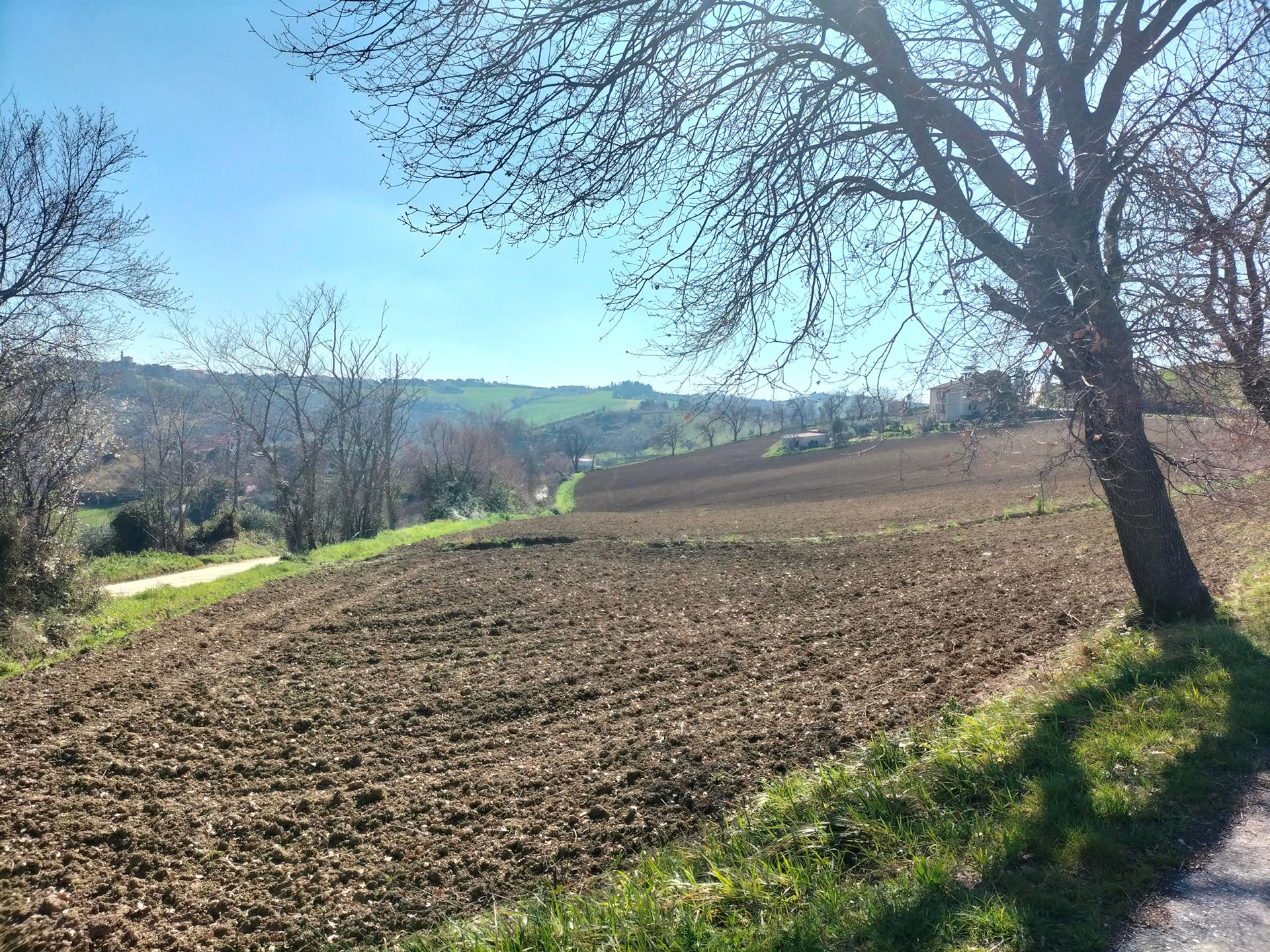 Compra: Terreno (60035)