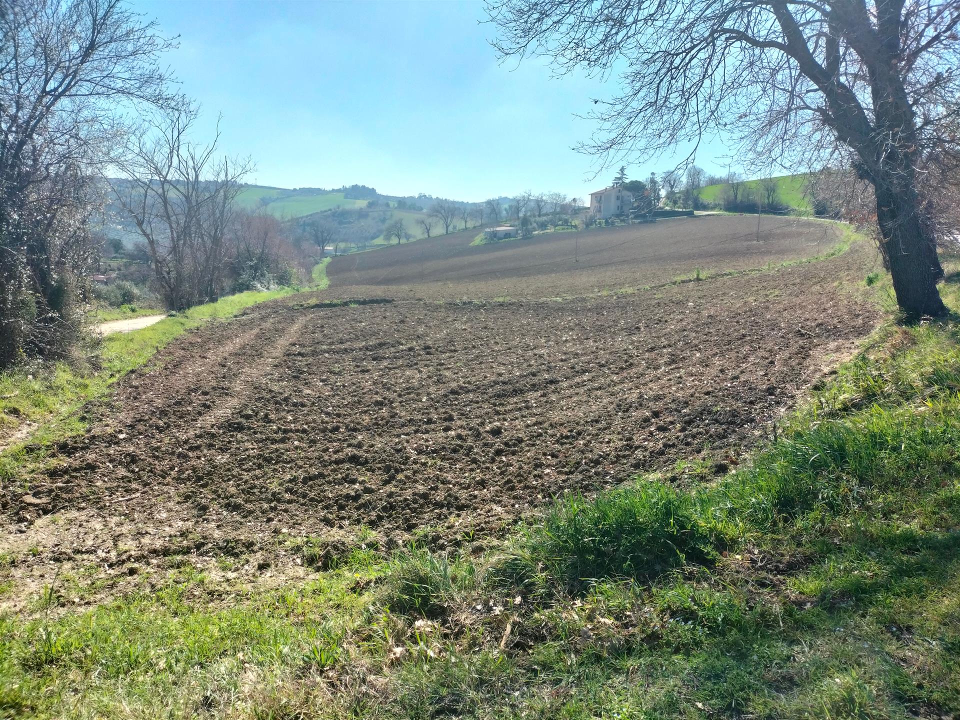 Compra: Terreno (60035)