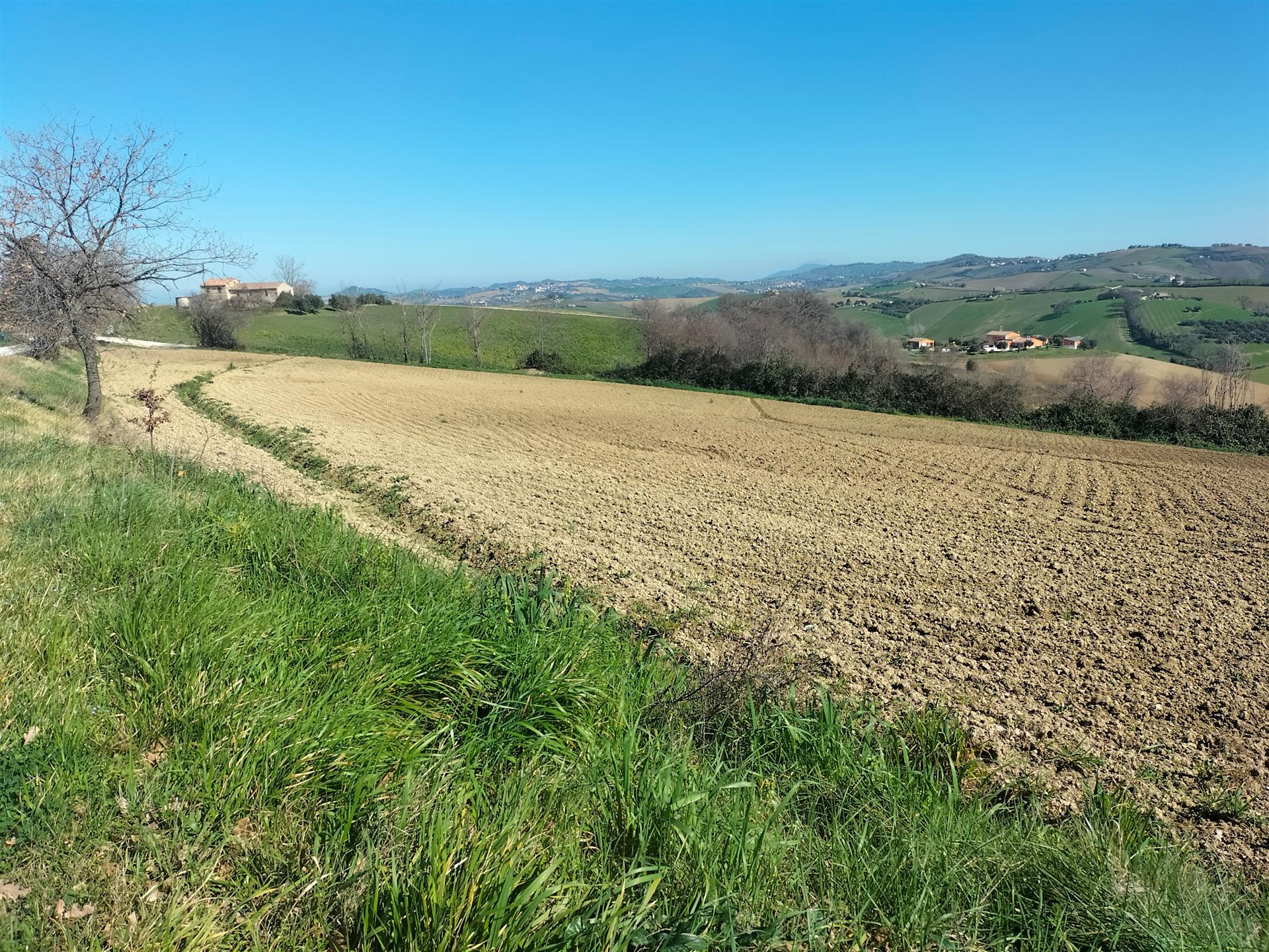 Compra: Terreno (60035)