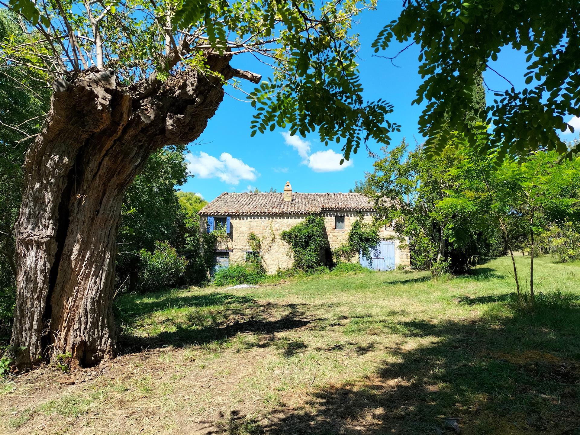 Ancienne ferme en pierre panoramique avec jardin et oliviers à Staffolo.