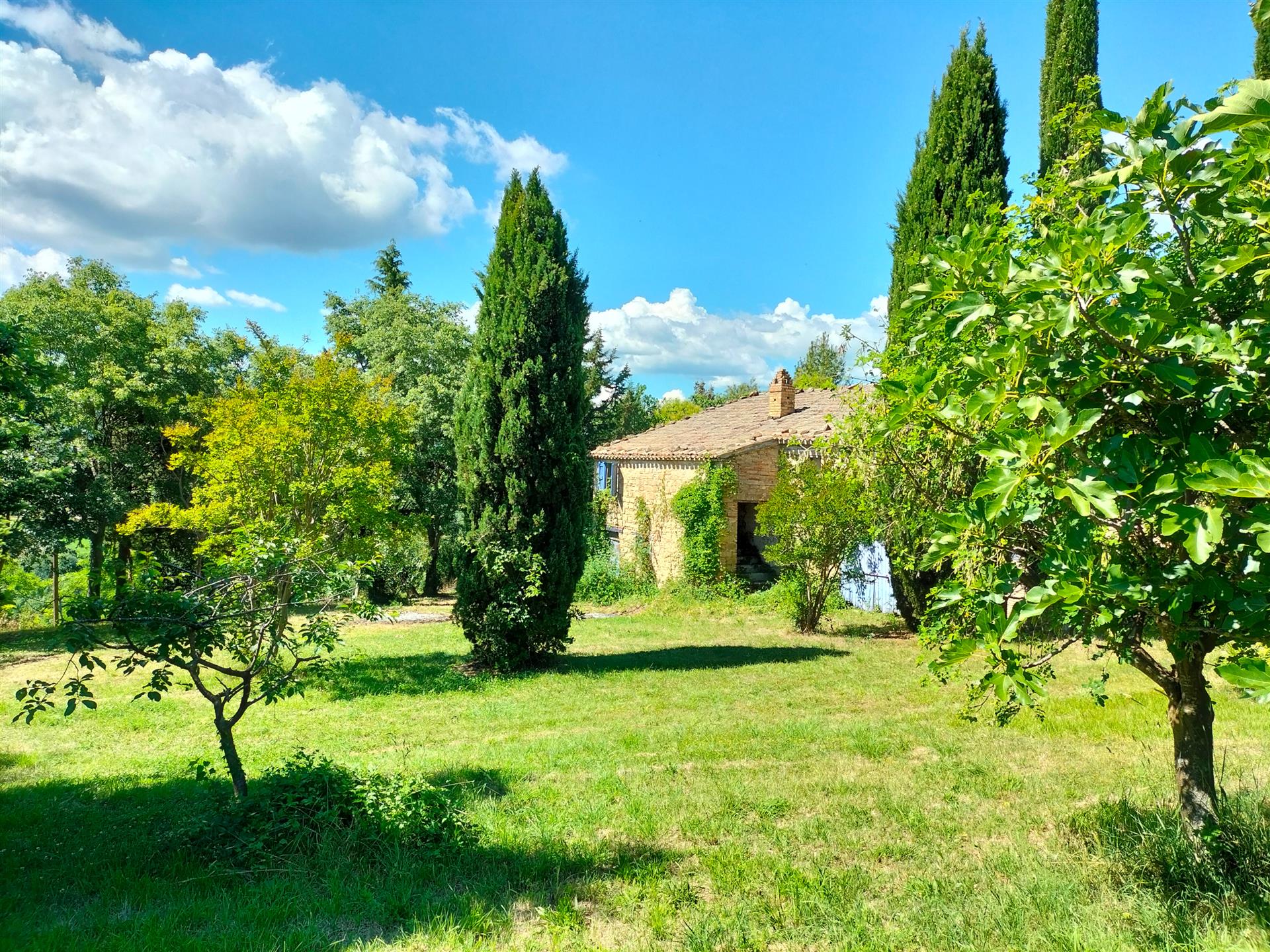 Ancienne ferme en pierre panoramique avec jardin et oliviers à Staffolo.