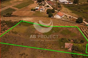Land for Dream Farm 20min from the beach and 40min from Lisbon…