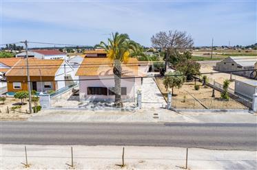 Small Farm with 2 Houses, 45min away from Lisbon!