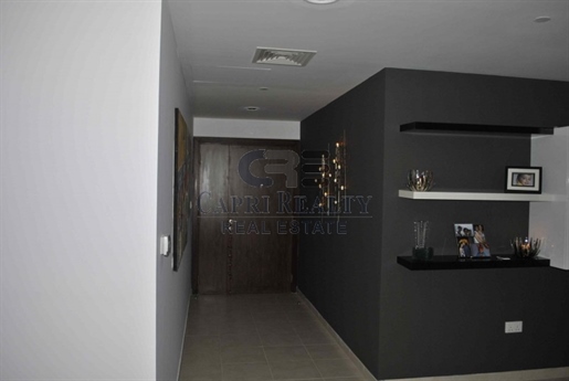Beautifully maintained 3 Br Property in Executive Tower J -(B-029)
