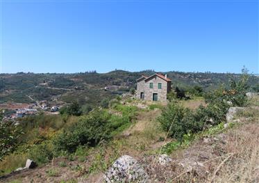 Farm with one house and 2 ruins, magnificent views and 5 hectares of land, a few km from Oliveira do