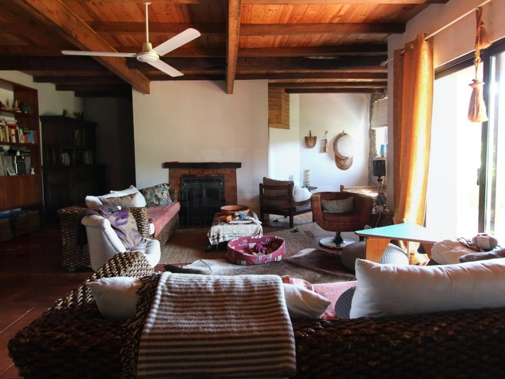 Rustiek huis met 3 slaapkamers, in steen, met land, op een paar minuten van het centrum van Tábua