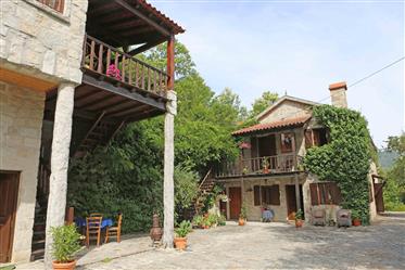 Farm with 2 granite houses, located in the beautiful Alva Valley, surrounded by extensive gardens, p