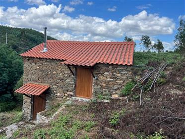 Farm next to the river Alva, 5 min from Coja, with 3 renovated houses plus 1 ruin, in schist and app