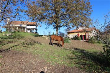 Quinta com vista maravilhosa, ideal para cavalos com aproximadamente 5 ha de terreno e 2 casas em pe