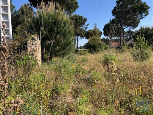 Terreno para construção em Marinha Grande de 1550,00 m²