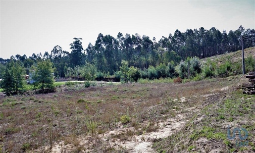 Tierra en el Leiria, Leiria