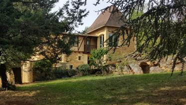  Large Villa with Expansive Grounds near Les Eyzies