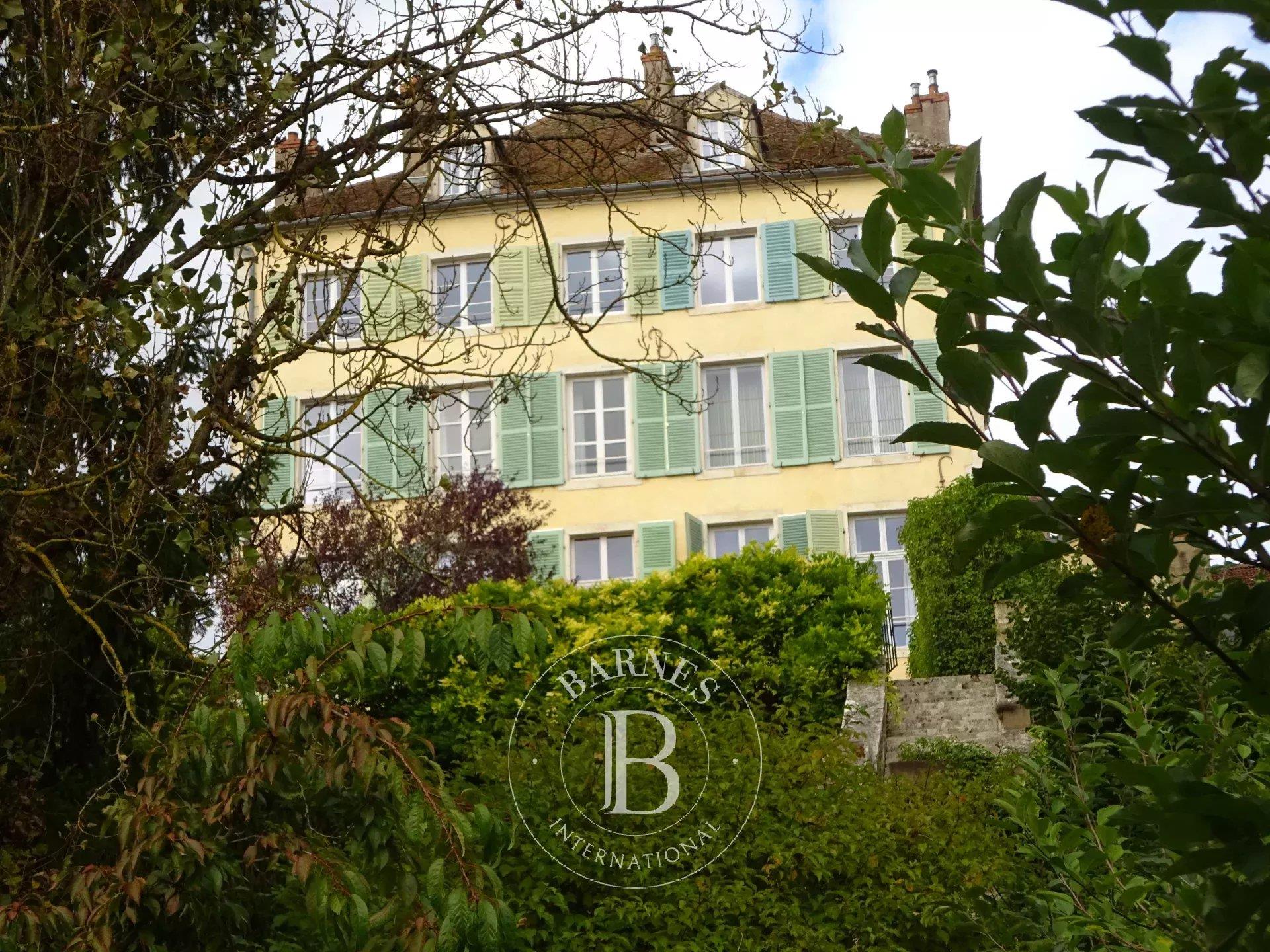Cote d'Or- Hotel particulier XVIIIéme à 1h de Paris