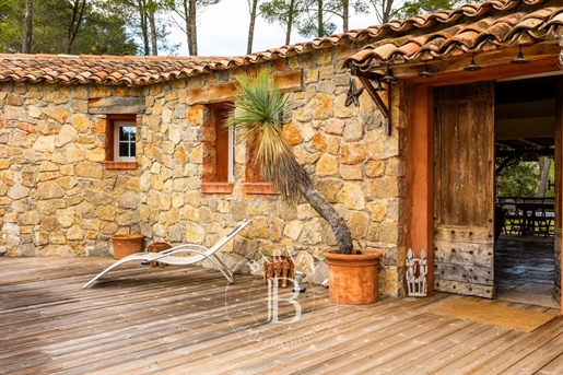 Lorgues - Provençaals onroerend goed – Villa van 300 m² met een gastenverblijf, twee zwembaden op d