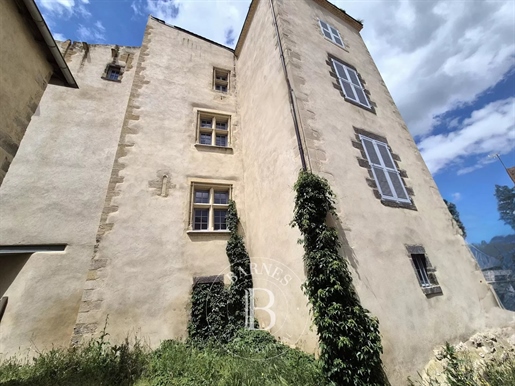 Aux portes de Clermont-Ferrand - Château Féodal - Opportunité unique de développement dans un cadre