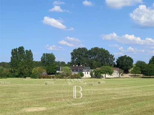 North of Vienne near Richelieu - Manor of 500 m² with swimming pool - Estate of 40 hectares