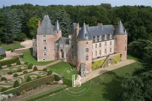 Außergewöhnliches Schloss XV. Historisches Denkmal mit 18 Hektar in der Sologne