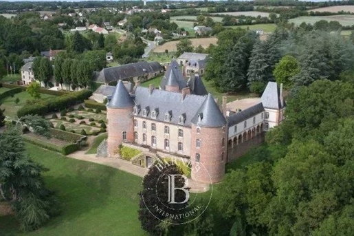 Sologne - Exceptionnel château XVe Monument Historique - Terrain de 18 hectares