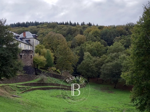 Einzelmakler - 40 Minuten von Limoges entfernt - Schloss XVII. komplett restauriert - 27 Hektar
