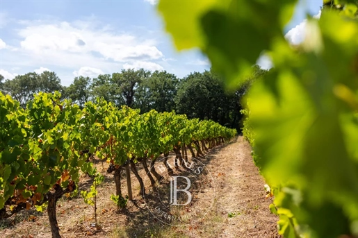 Var - Propriété d’exception - Domaine viticole de 8 ha avec maison provençale - Dépendances et pisci