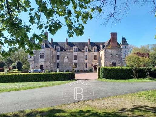 Vendee - Château du 17ème siècle avec 22 chambres - parc de 17 hectares