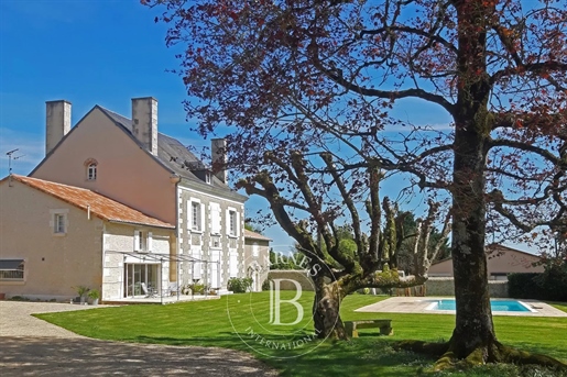 20 minutes from Poitiers - Tastefully renovated mansion - 2 ha plot of land with swimming pool