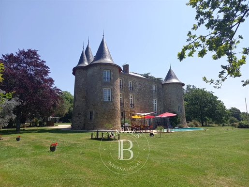Cholet - castello del 15° e 18° secolo con annessi e orangerie - parco di 3,9 ettari