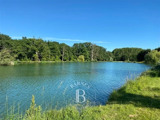 Sole Agent - Vienne department - Very charming property with pond and pool - 15 acres of land