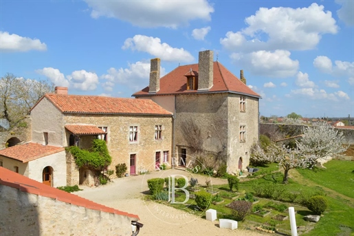 Château Mh des XIe et XVe au sein de ses remparts - 4600m²