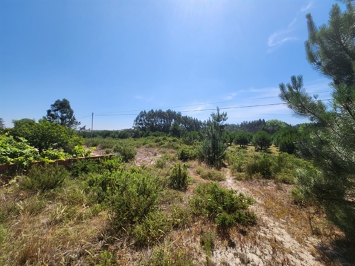 Magnificent plot of land with an area of 3694 m², nestled just 6 km from the first beaches