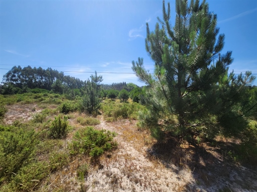 Magnificent plot of land with an area of 3694 m², nestled just 6 km from the first beaches