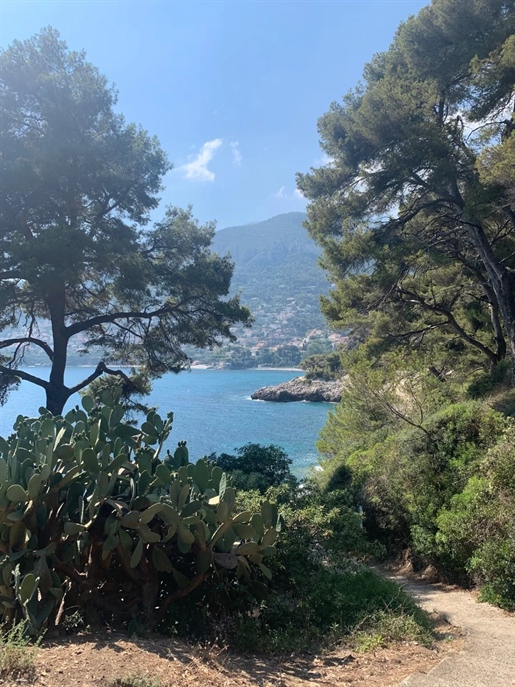 Недвижимость - Roquebrune Cap Martin