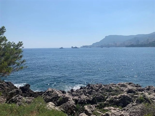 Propriété - Roquebrune Cap Martin