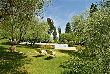 Продавать! Тосканские виллы оливковых деревьев-лавровых