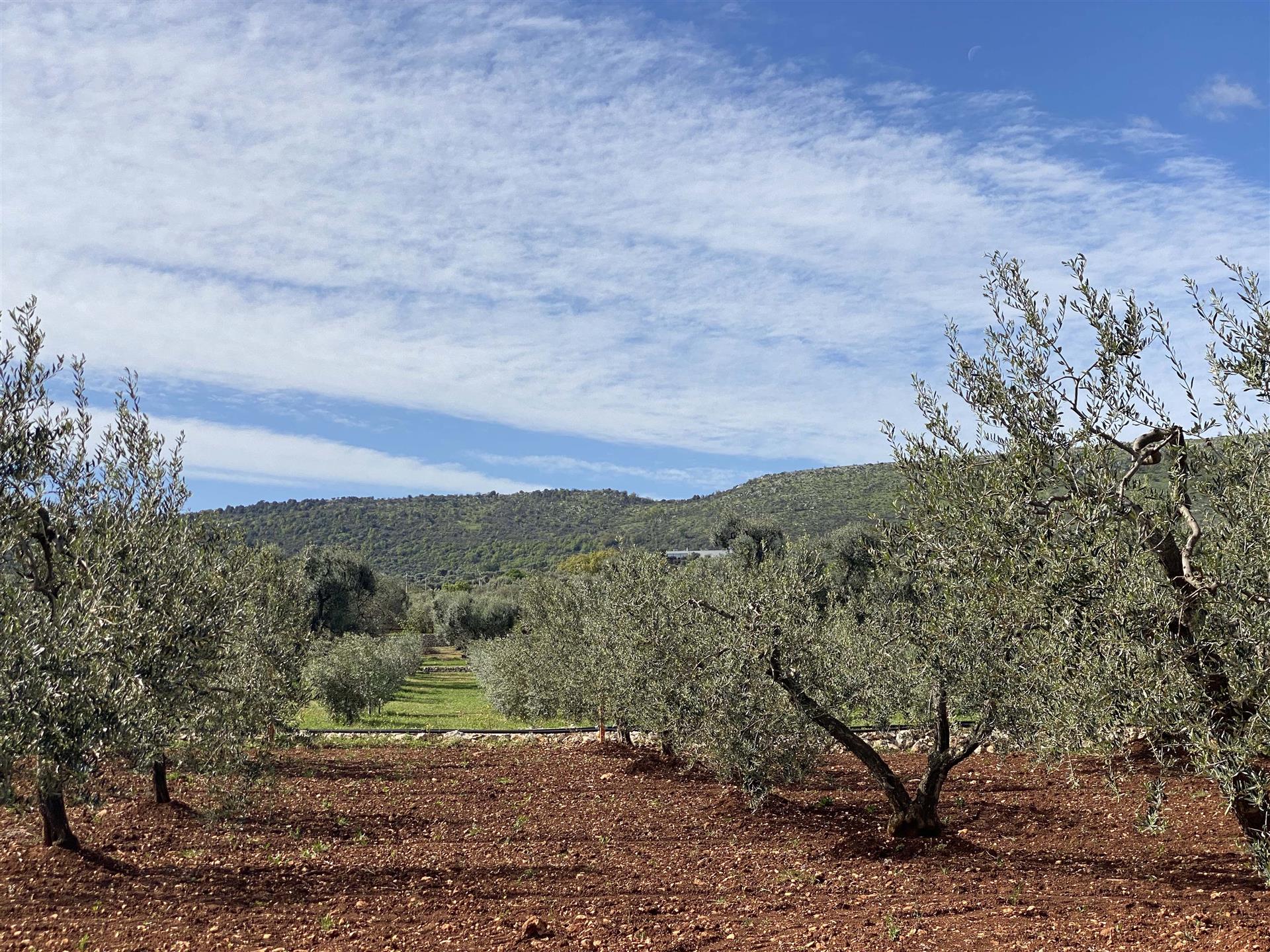 מכירה: בית (72017)