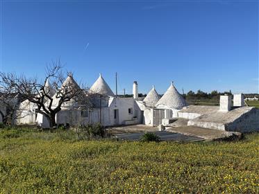 Trulli and lamie with building land