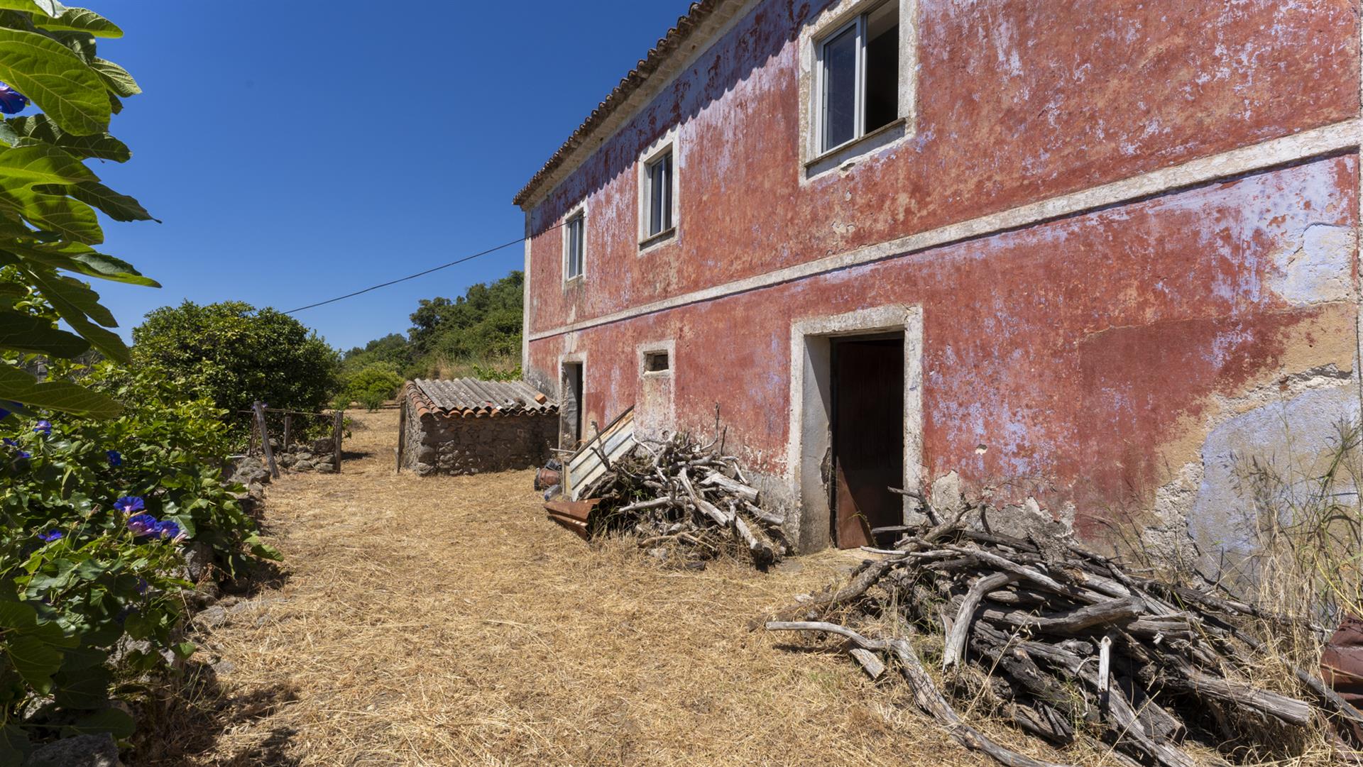 Monchique Boerderij