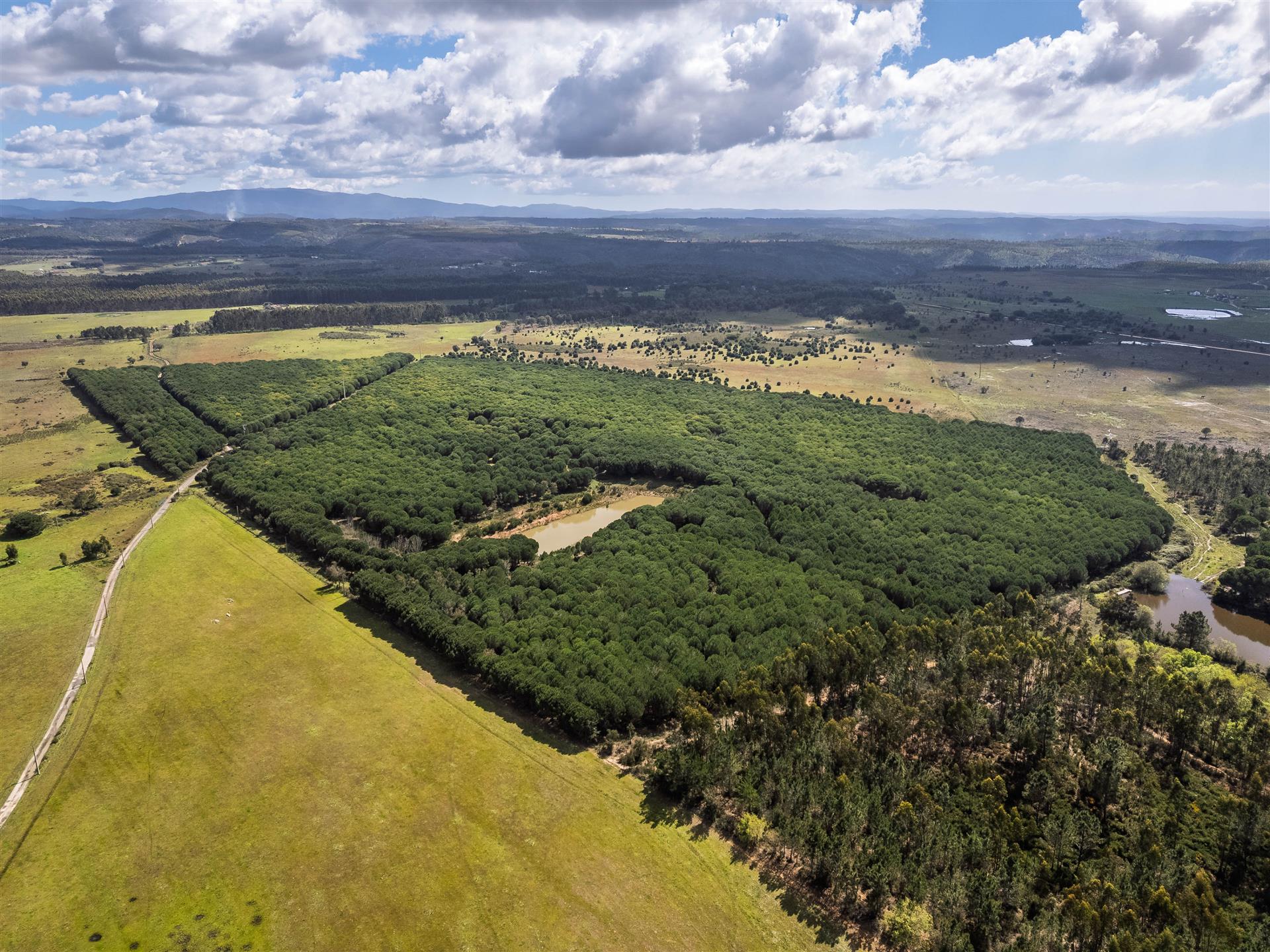 Purchase: Land (7630)