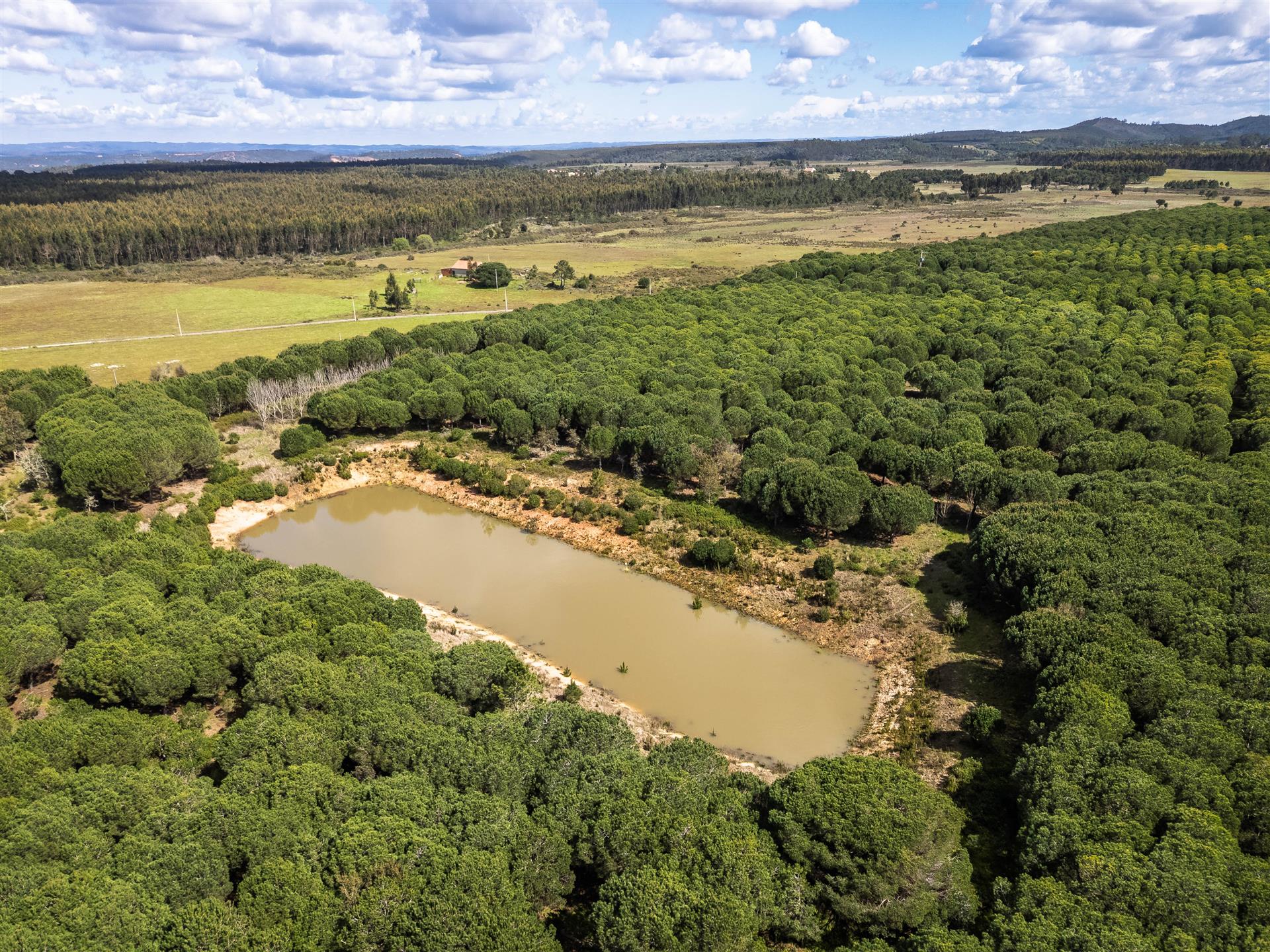 Purchase: Land (7630)