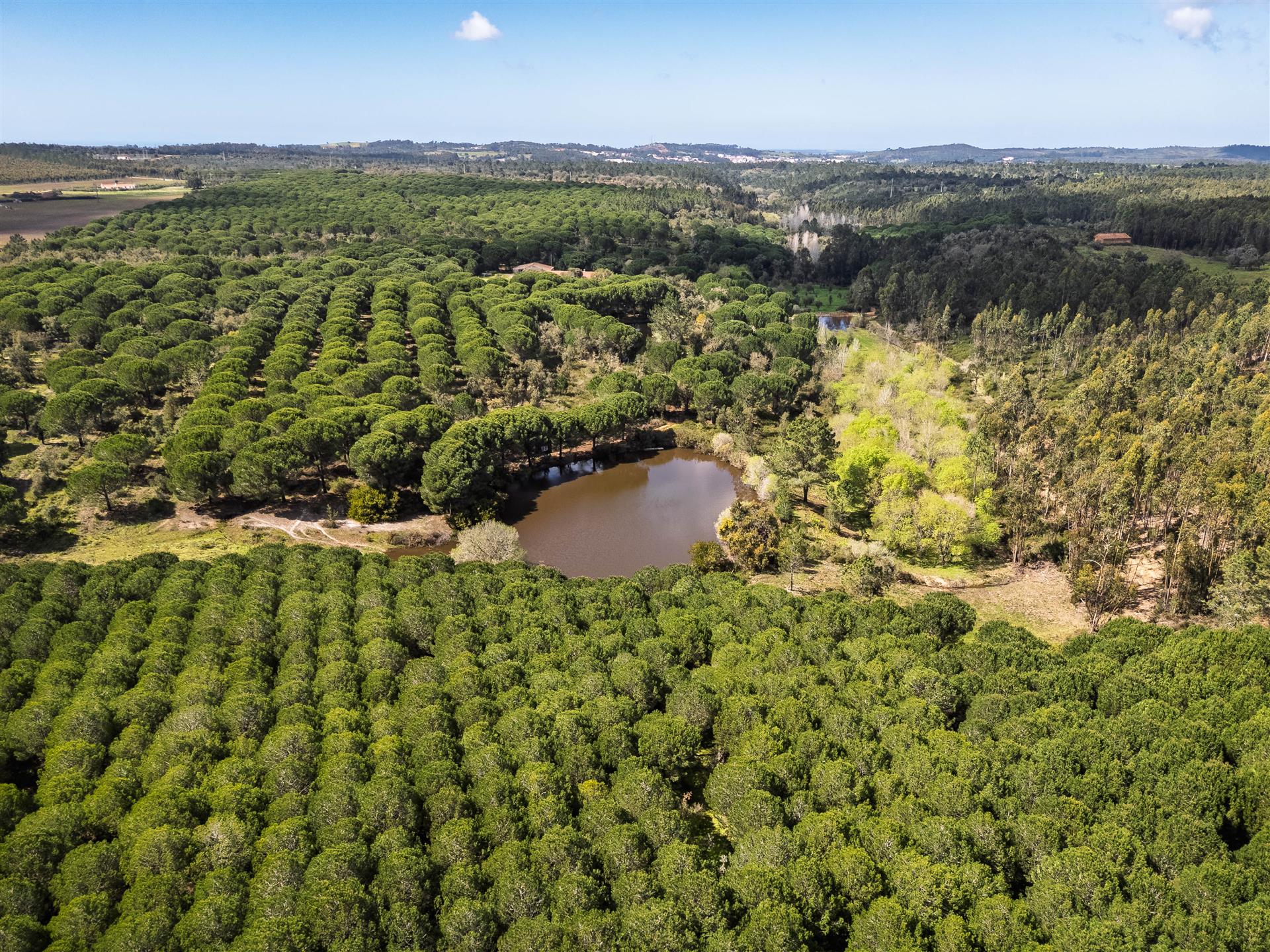 Purchase: Land (7630)
