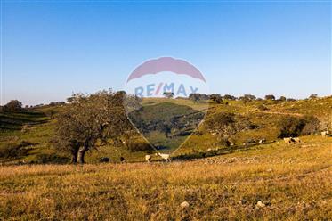 Homestate for sale in Reguengos de Monsaraz